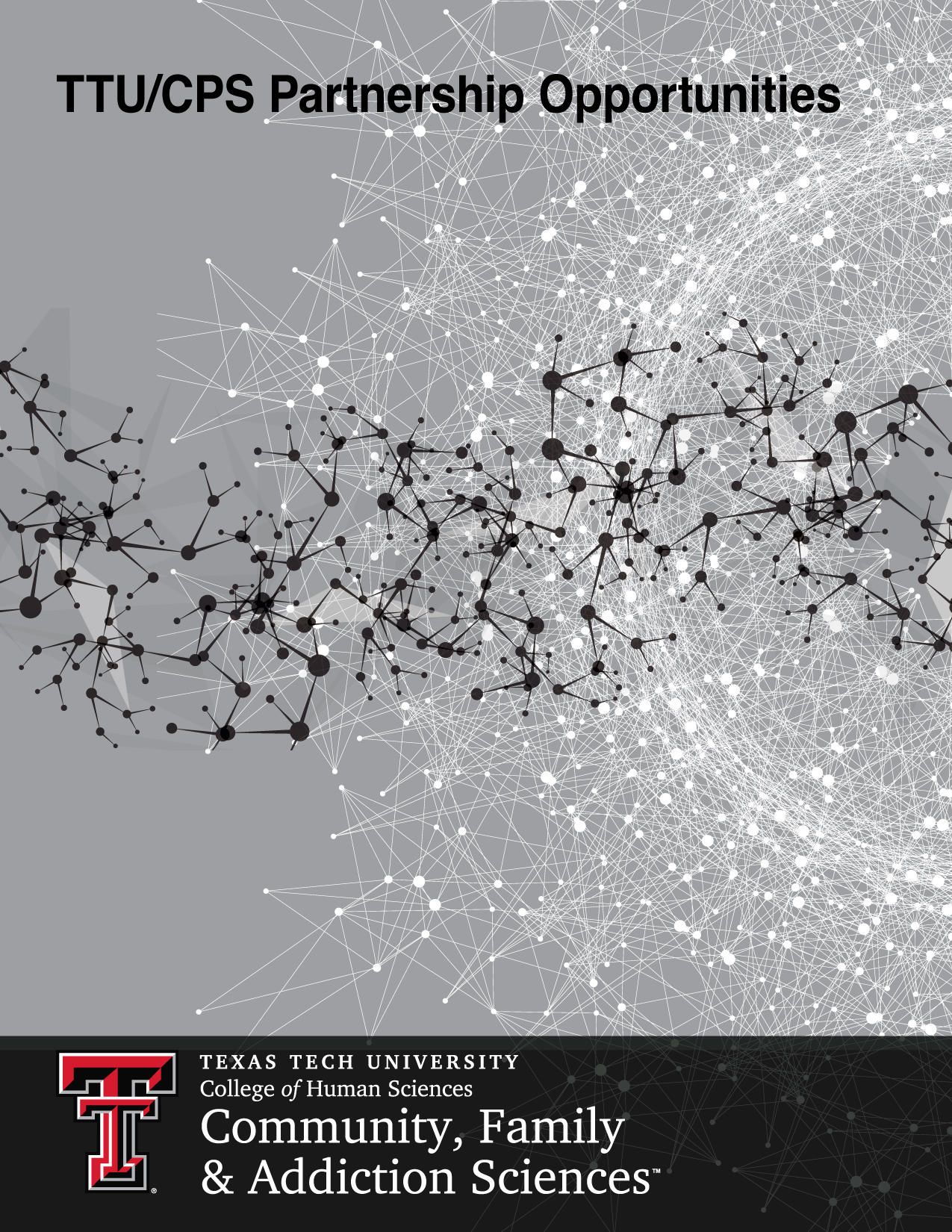 Texas Tech University and State of Texas Partnership Proposal Cover Image